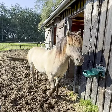 Hof Deichkind Rodenäs